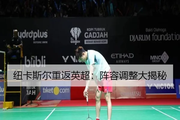 纽卡斯尔重返英超：阵容调整大揭秘